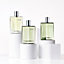 H24 Herbes Vives Eau de parfum, view 6 of 8