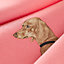 Les Bassets scarf 45, view 3 of 3