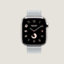 视图: 正面图, Series 10表盘 & Apple Watch Hermès 42毫米单圈表带