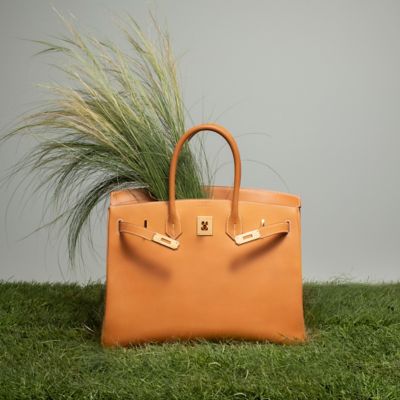 The Birkin Bag Hermes Hermes