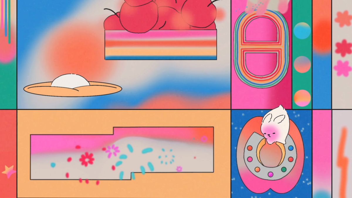 On the Rabbit Wishlist | Hermès Mainland China