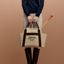 The Grooming Bag, beige sable/feu