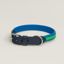 Demi-Rond dog collar, navy/bleu hydra/vert comics