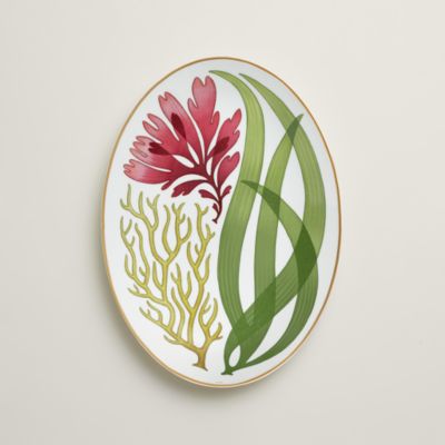 Natures Marines椭圆盘，小号