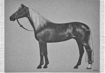 Cheval Palomino毛毯