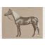 Cheval Palomino blanket, naturel