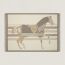 Cheval a la Couverture blanket, 01_LIEGE