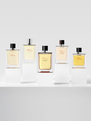 Terre d'Hermes Parfum, View: front, front, view 6 of 6