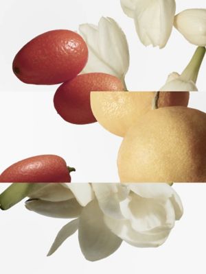 Le Jardin de Monsieur Li Eau de toilette, View: front, front, view 4 of 5