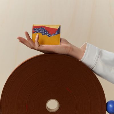 Histoire Naturelle卡包