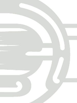 orfèvre gris platine/blanc