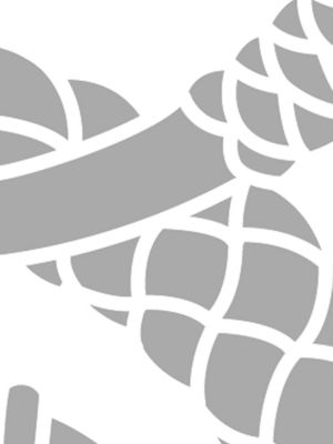 orfèvre gris platine/blanc