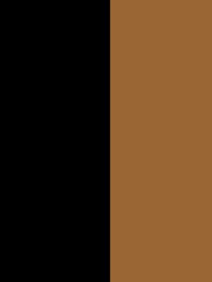 noir/gold