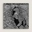 La Cite Cavaliere la Nuit embroidered scarf 90, noir/blanc