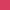 43 –  Rose Incarnat