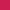 70 – Rose Indien