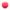 03 – Rose Pitaya
