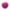 06 – Pourpre Camarine