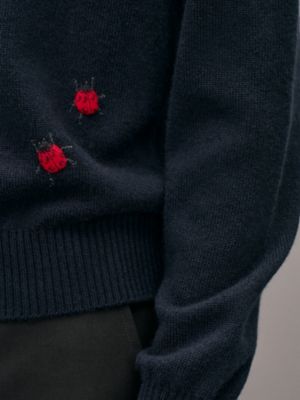 "Broderie coccinelle" crewneck cashmere sweater, View: Worn, worn, view 5 of 5