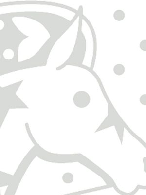 贵金属色 铂金灰/白色