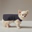 Dog raincoat, XS and S, navy/bleu royal