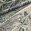 View: Detail, All'Orto Botanico di Palermo shawl 140