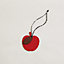 View: front, Apple and leaf charm