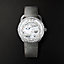 View: Worn, Arceau Le Temps Voyageur watch, Large model, 38 mm