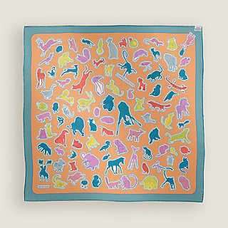 Caracteristick double face scarf 90 | Hermès Mainland China