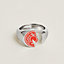 View: front, Carrousel ring