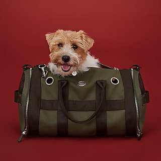 Carrying bag for dogs | Hermès Mainland China