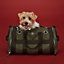 View: Worn, Carrying bag for dogs