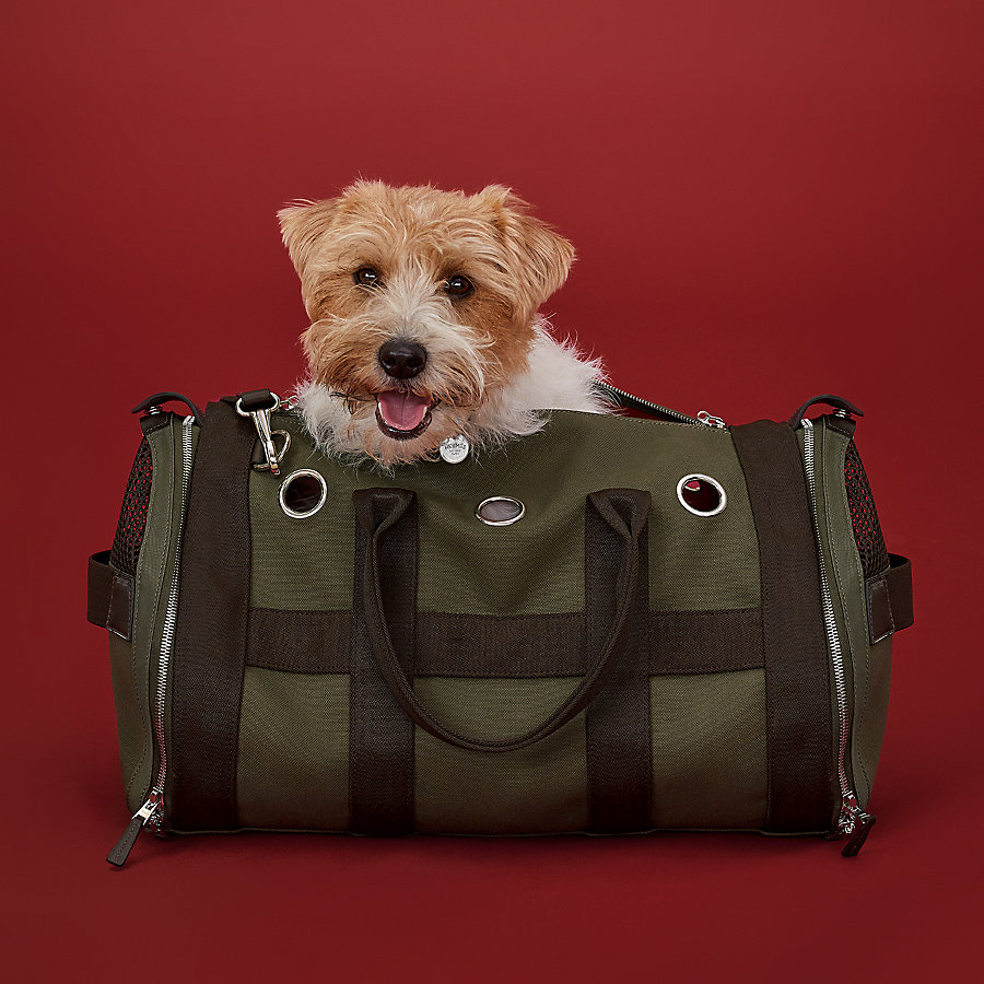 Carrying bag for dogs