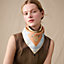 Cavalier en Formes scarf 45, view 2 of 3