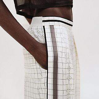 HERMES \