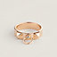 View: Worn, Collier de chien ring, small model