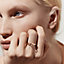 View: Worn, Collier de chien ring, small model
