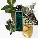 View: Worn, Concentre d'orange verte Eau de toilette