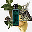 View: Worn, Concentre d'orange verte Eau de toilette