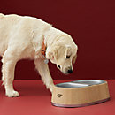 View: Worn, Dog bowl, large model