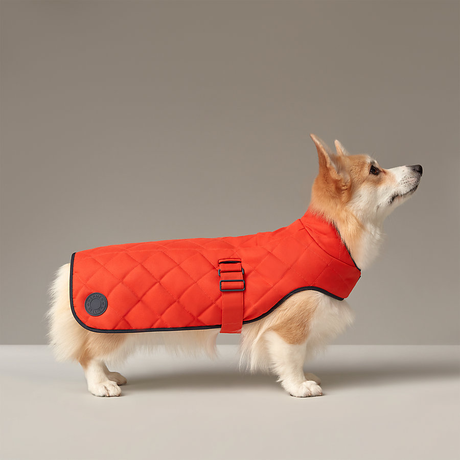 Dog coat, M and L