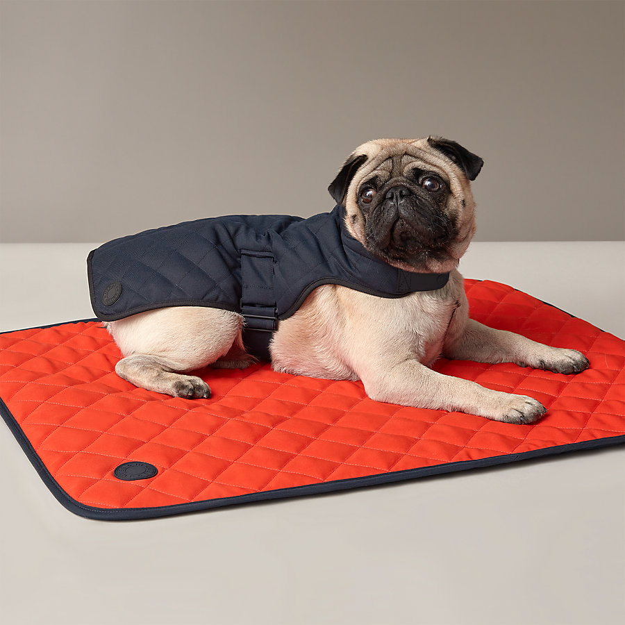 Dog coat, XS and S