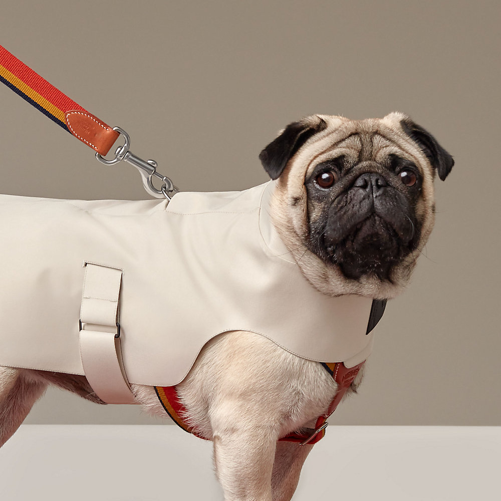 Dog raincoat, XS and S | Hermès Mainland China