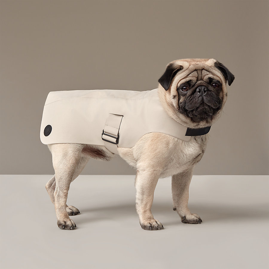 Dog raincoat, XS and S