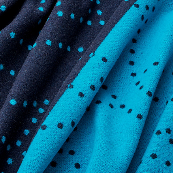 Double Horse Constellation blanket | Hermès