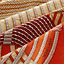 View: Detail, Dressage Tressage shawl 140