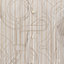 "Eperon d'Or 3D Ray" short-sleeve straight cut shirt, View: Worn, worn, view 5 of 5