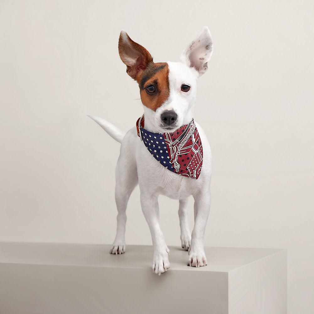 Eperon d'Or dog bandana, small model Hermès Mainland China