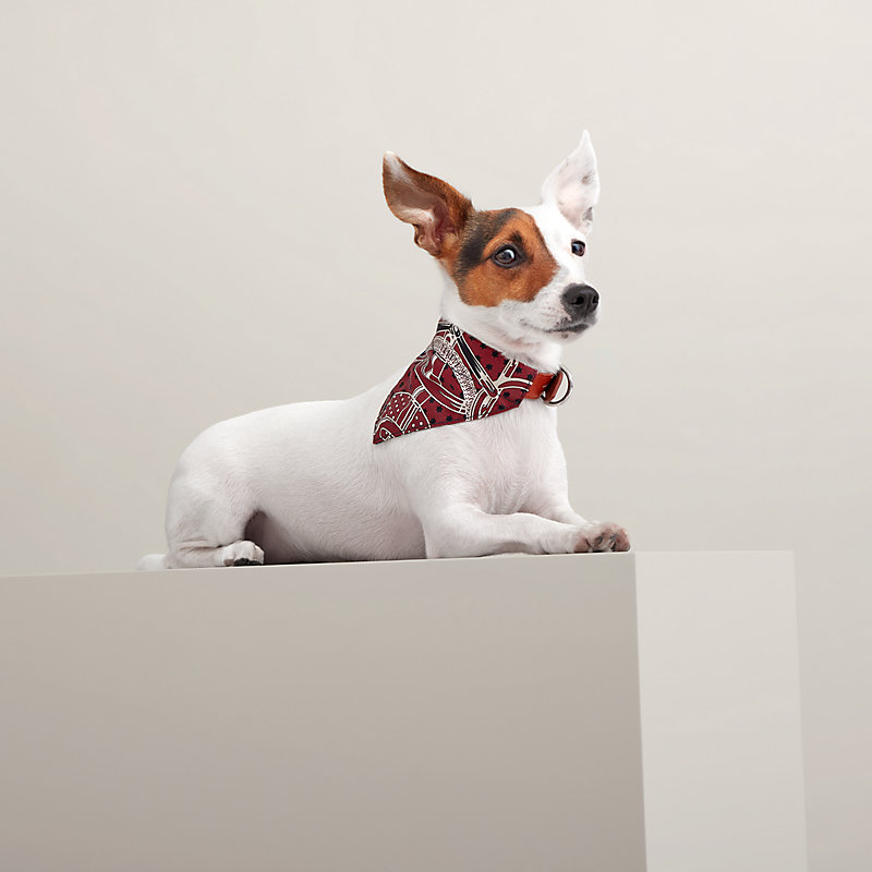 Eperon d'Or dog bandana, small model