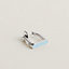 View: Worn, Etrier single earring